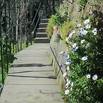 룰리베토 4*
