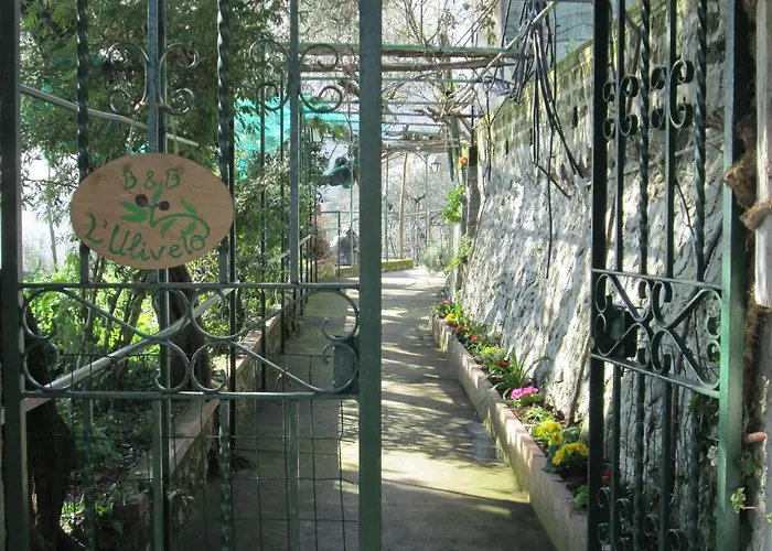 L'uliveto Bed and Breakfast 4*