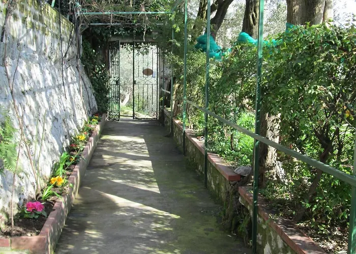 L'uliveto Bed and Breakfast