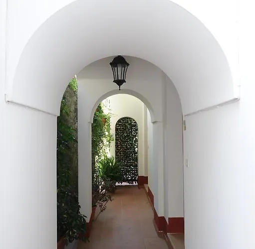 Bed and Breakfast L'uliveto Ποζιτάνο