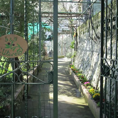 L'uliveto Bed and breakfast 4*