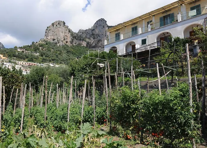 L'uliveto Bed & Breakfast 4*