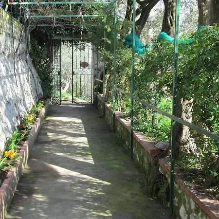 L'uliveto Couette-café