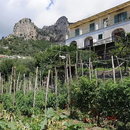 L'uliveto Couette-café 4*